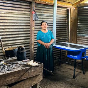 Familia Beb Chá Familia Beb Chá