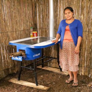 Alicia Floricelda Chun